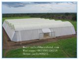 Anti Insect Netting for Multi Span Greenhouse