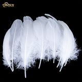Duck Down and Feather Material