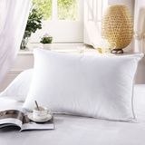 Hot Selling Fashion Style Microfiber Pillow