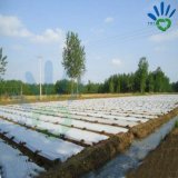 UV Resistant PP Non Woven Fabric for Landcover Crop Cover