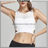 2017 New Style Mesh Sports Bra Custom Yoga Sports Bra