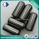 Wholesale Tungsten Carbide Mining Tools Insert/Button