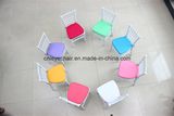 Chiavari Chair Cushion