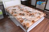 Raschel Printing Mink Acrylic Blanket (MQ-LAB013)
