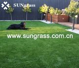 Synthetic Lawn Carpet for Garden or Landscape (SUNQ-HY00009)