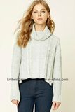 OEM Fashion Hot Sales Turtle Neck Spandex Sweater Blouse (W18-243)