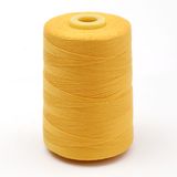 High Quality 100% Spun 40s/2 Polyester Sewing Thread