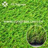 Simulation Turf Carpet for Garden or Landscape (SUNQ-AL00052)