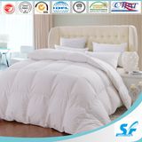 20 Years Home Textile Supplier in Quilt China