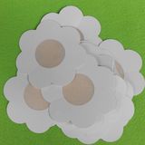 Silicone Nipple Cover / Bra Pads (SR2206)