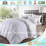 Natural Down Quilt White Goose Feather and Down Comforter