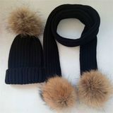 Fur POM Winter Patch Embroidery Hat