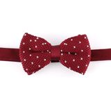 New Design Fashion Stylish Bowtie for Men (YWZJ 30)