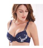 Fashion Sexy Lace Bra and Panty in Stock (CS21125)