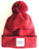 Export to Europe High Quality Embroidery Beanie Hats/Caps