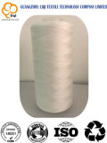 High-Strength Polyester Embroidery Thread Sewing Use 150d/3
