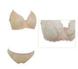 Latest Design Thin Lingerie Bra Set with Beautiful Embroidery (EPB273)