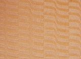Cut and Loop Pile Carpet (8E202)