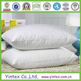 Modern and Popular Microfiber Pillow