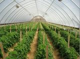 20/10 Mesh Insect Net