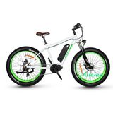 Man Style 48V 500W Electric Bike Mountain E Bike for Sale