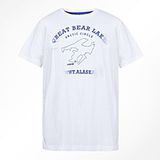 Custom Cotton Printed T-Shirt for Men (M117)