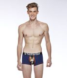 Fierce Animal Print Breathable Fashion Sexy Briefs Underwear Mens Briefs