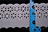 Cheap Cotton Lace for Clothes Decoration