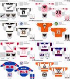 Customized American Hockey League Adirondack Phantoms Hockey Jersey