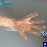 Disposable Poly Food Service Gloves, Medium, 500/Box with FDA