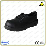 ESD Steel Toe Safety Shoes