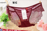 High Class Western Style Hollow-out Lace No Trace Mesh Ladies Sexy Girls Transparent Underwear