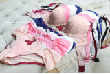 Hot Sale Embroidery Lace Bra and Panty Set (FPY333)