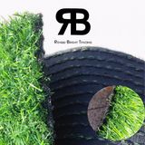 20-35mm Landscape Decoration Synthetic Artificial Grass Carpet for Garden