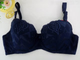 Big Size Bra for South Africa (CS907)