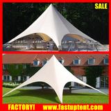 6m 8m 10m Diameter Family Camping Star Shade Marquee Tent