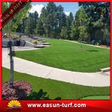 High Quality Natural Artificial Grass Carpets for Football Stadium Grass