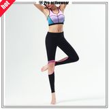 OEM Factory Ladies Sexy Fitness Yoga Gym Wear