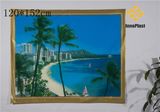 PVC Printed Landscape Transparent Table Cloth (TZ0006)