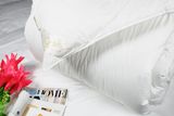 Hotel Goose Down -Goose Feather Duvet Quilt