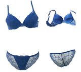 2016 New Design Lace Bra and Panty for Ladies (FPY319)