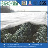 HDPE Insect Proof Net / Greenhouse Plastic Anti Insect Net