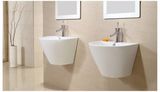 Sanitary Ware Ceramic One-Piece of Wall-Hung Basin for Bathroom 6101