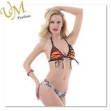 Factory Wholesale Push up Bra Lady Bikini Sexy Swimwear