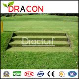 Backyard Artificial Lawn Grass Carpet (L-3005)
