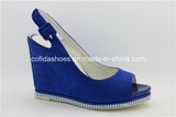 Fashion High Heel Sexy Lady Sandals for Fashion Women