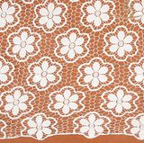 Hot Sell White Lace Yard for DIY Craft Clothing Accessories Lace Fabric