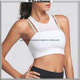 OEM Factory Gym Wear Custom Mesh Sports Bra