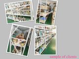 Automatic Filling Machine and Capping Machine for Honey