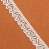 Fashion Voile Lace, Swiss Lace